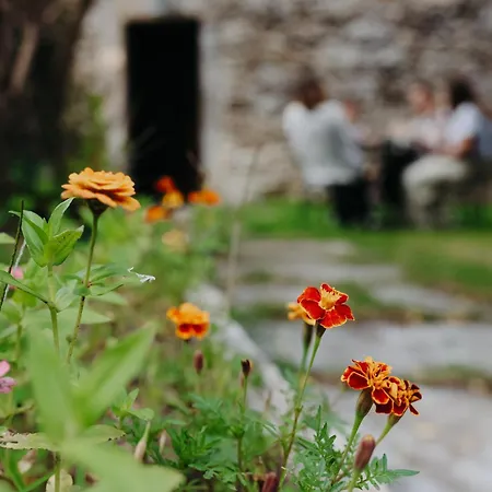 Kır Evi Arrueiro