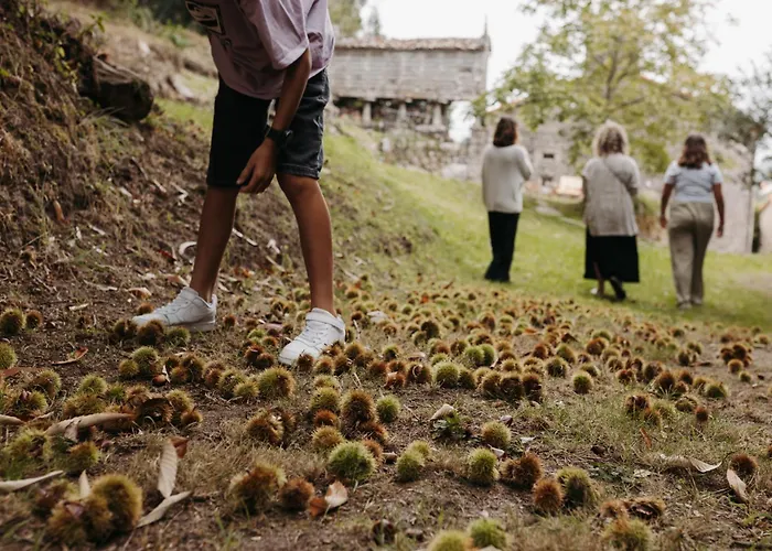 Arrueiro * Лахе